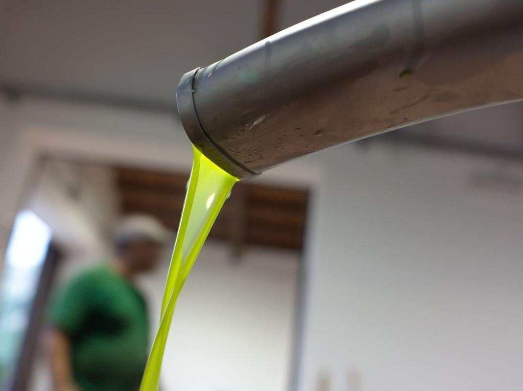 פלמה די מונטקיארו Azienda Agricola Mandranova מראה חיצוני תמונה