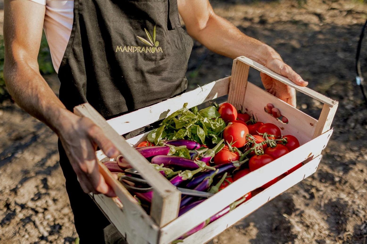 בית הארחה פלמה די מונטקיארו 	Azienda Agricola Mandranova מראה חיצוני תמונה