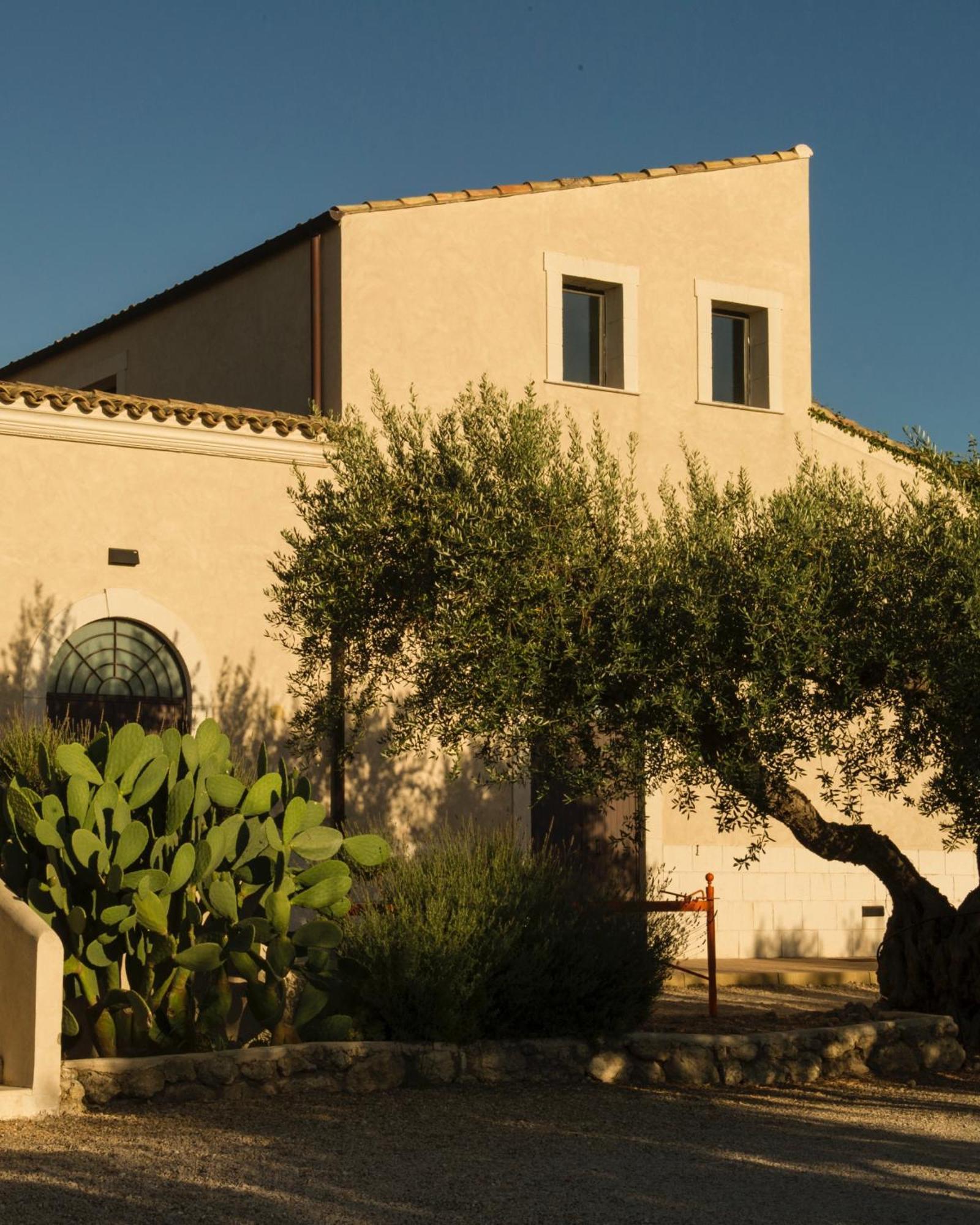 פלמה די מונטקיארו Azienda Agricola Mandranova מראה חיצוני תמונה
